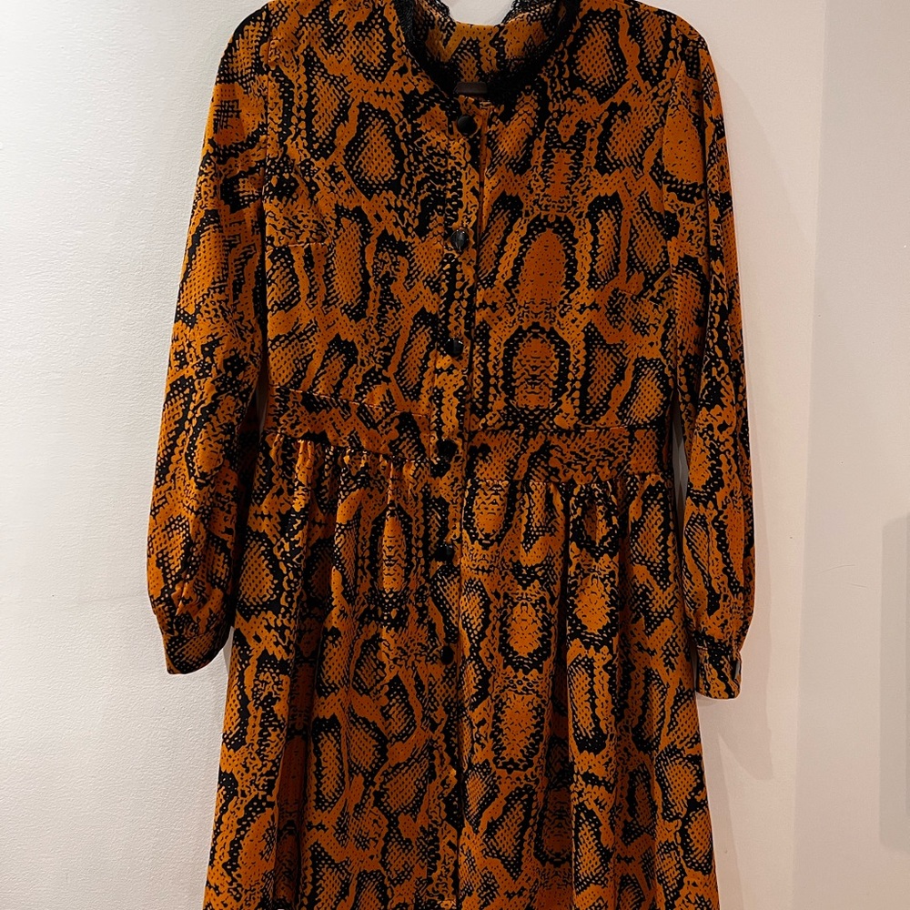 Long sleeves- Button-down, Leopard print dress.